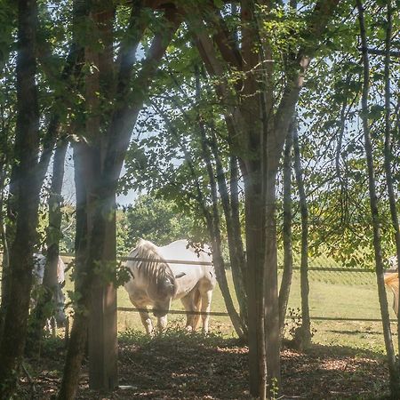 Seyches Bois Des Nauzesヴィラ エクステリア 写真