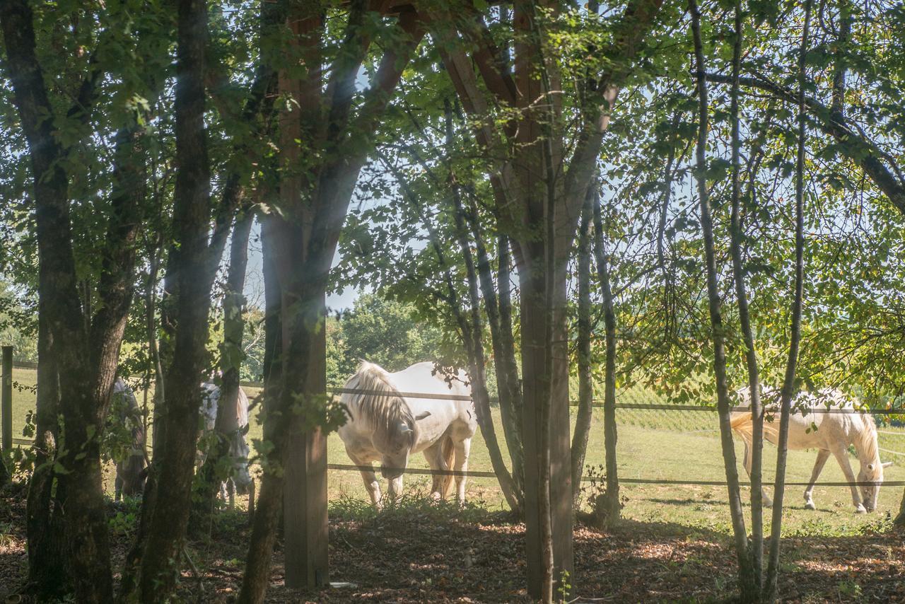 Seyches Bois Des Nauzesヴィラ エクステリア 写真