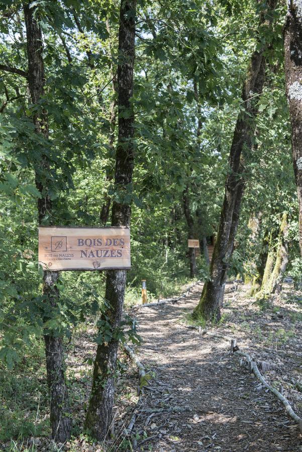 Seyches Bois Des Nauzesヴィラ エクステリア 写真